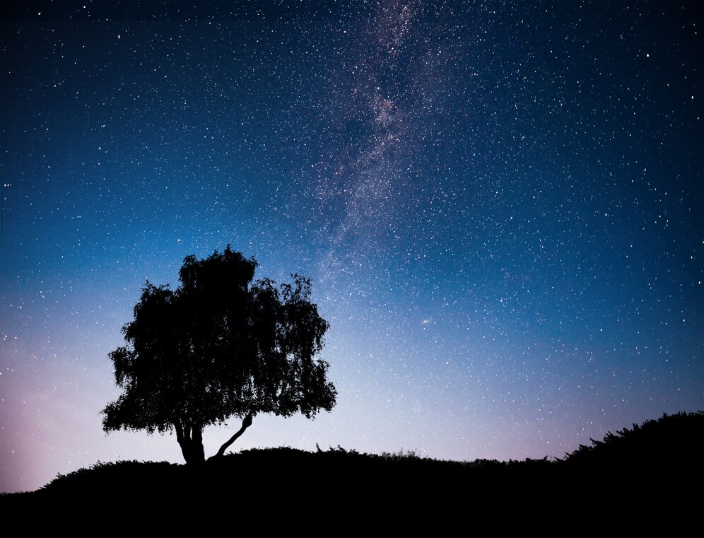 Notte di San Lorenzo: Guida Completa per Ammirare le Stelle Cadenti