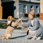 Quale Razza di Cane Scegliere? Guida Completa per Trovare il Compagno Perfetto