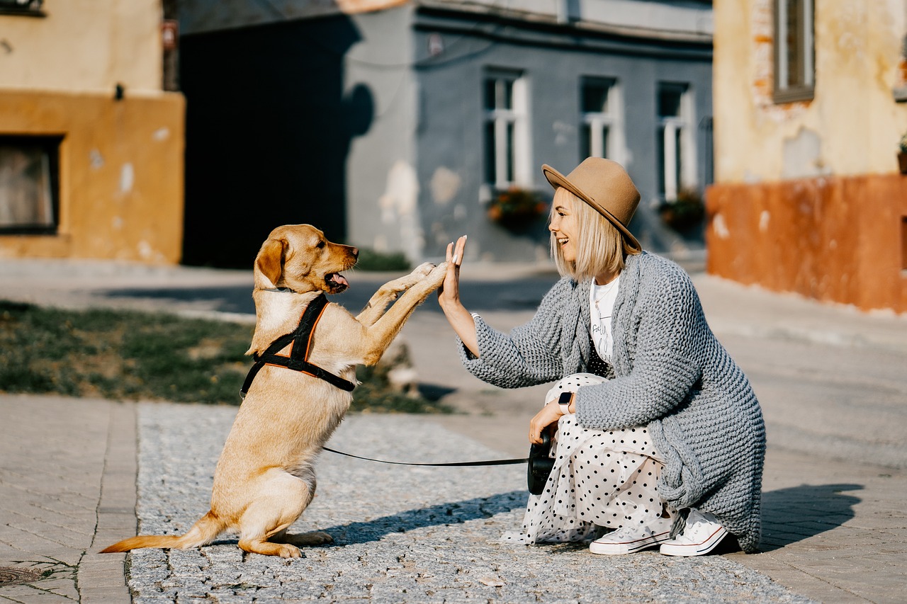 Quale Razza di Cane Scegliere? Guida Completa per Trovare il Compagno Perfetto